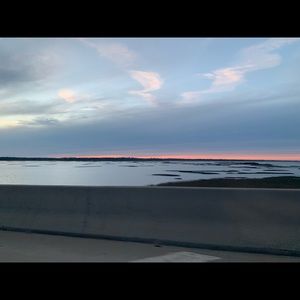 Meet your Posher, Sammy